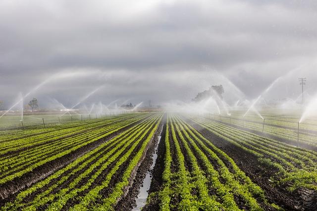 The Role of Smart Irrigation Systems in sustainable Farming