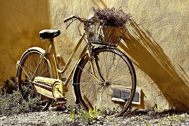 The Role of bicycles in Improving Access to Education and Healthcare