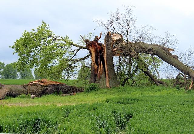 Assessment of Damage to Infrastructure and Agricultural Land