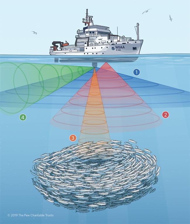 Innovative technologies in Monitoring and Reporting of Fishing Activities