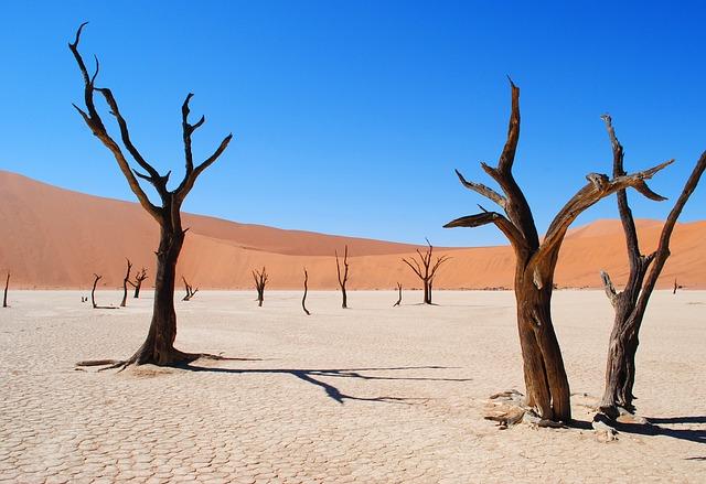 understanding the Historical Significance of Namibia’s Deserts in African Archaeology