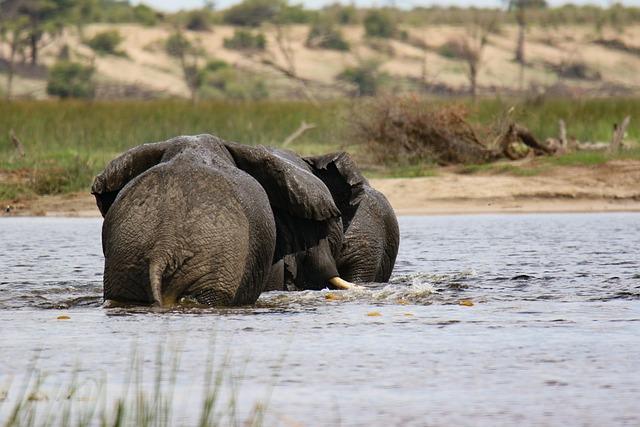 Botswana Faces Devastating Floods as Nine Lives Are Lost