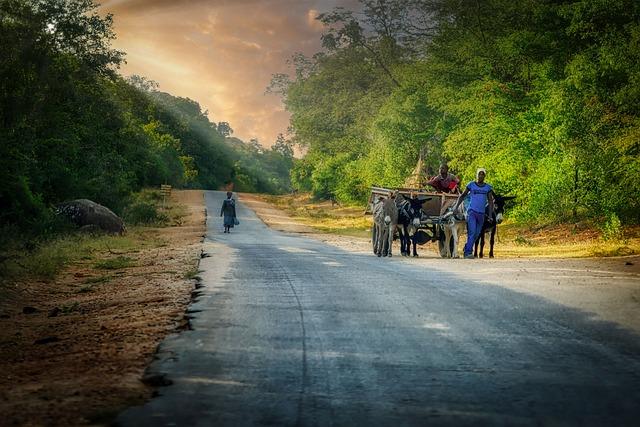 International Perspectives on Zimbabwe's Agricultural future