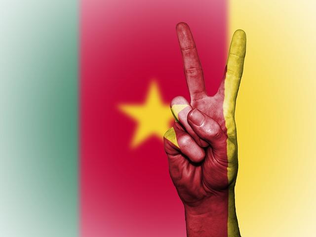 Cameroon's New National Assembly Complex: A Symbol of Sino-Cameroonian Cooperation