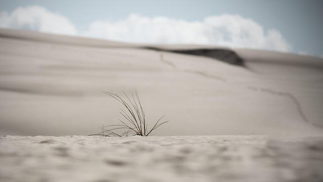 Long-Term Strategies for Drought Resilience in Zimbabwe's agriculture