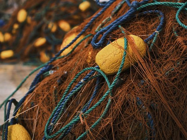 Key Opportunities for Fisheries and Aquaculture Growth in Sao Tome and Principe