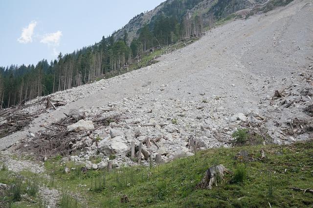 Emergency Response Efforts Following the landslide Disaster