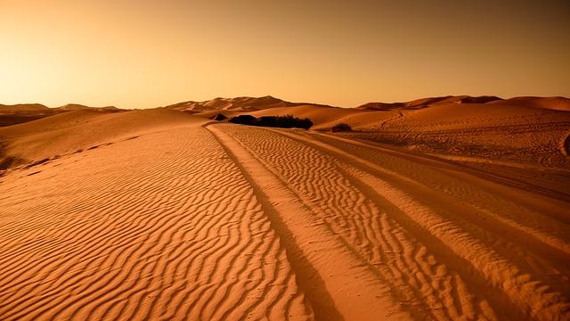 chinese Expertise in Desert Agriculture: transforming Mauritania's Arid Landscape