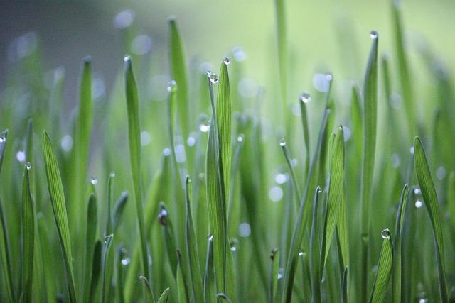 Exploring Key Areas of Collaboration in Agriculture and Trade