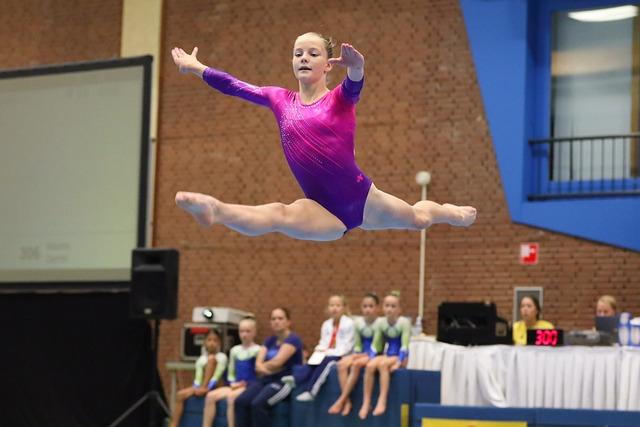 Celebrating‍ Diversity in Sport: The Impact of⁤ Nemour's​ Victory ‌on Depiction in Gymnastics