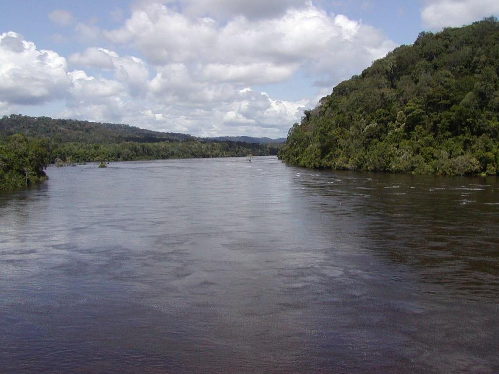 The Environmental Significance of the Ivindo River and Its Role in biodiversity