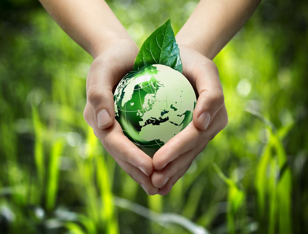 Sustainability Practices in Operations: Ensuring Environmental Responsibility