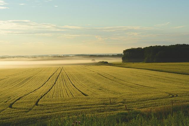 Reevaluating State-Owned Land as a Tool for Transformation