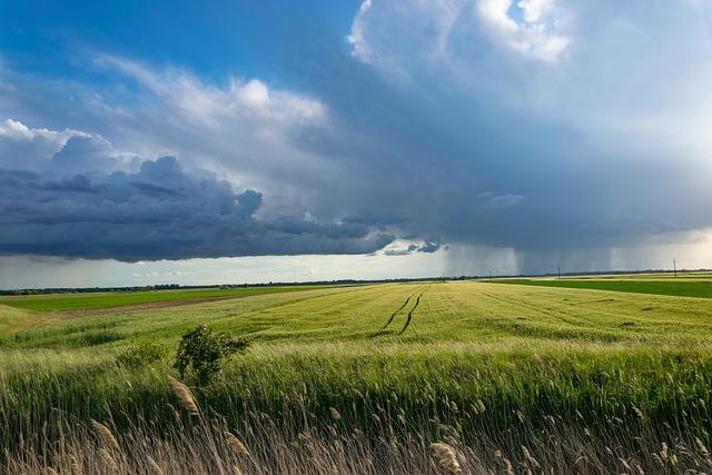 Sustainable Solutions for a Resilient Agricultural Future in Zimbabwe