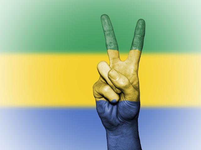 Path Forward: Recommendations for a Sustainable Political Transition in gabon