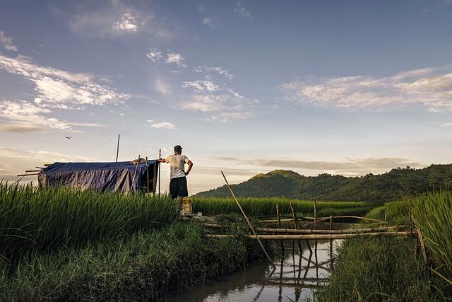 The Role of Local Farmers and Organized Crime Networks