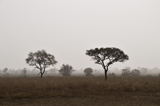 Benin's Historic Accession to the⁢ EBRD and its Implications for Sub-Saharan Africa