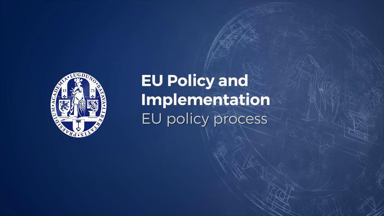 The Role of ‍European Policy in Mitigating⁤ Environmental and social Risks