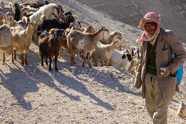 Building trust and Friendship‌ with the Bedouin Community