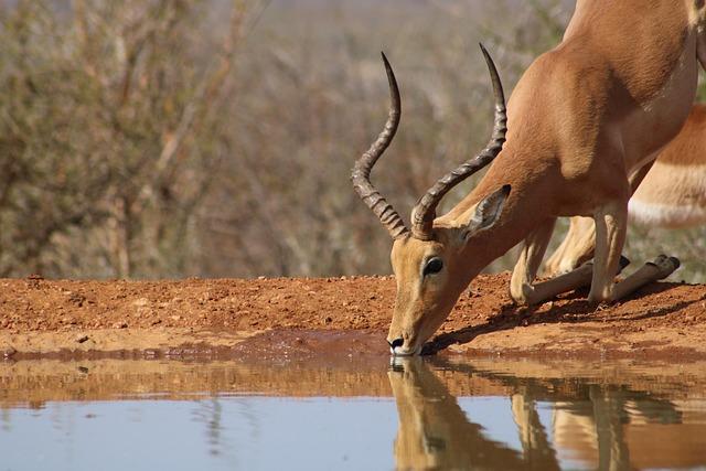 Assessing the Risks and Opportunities in the Horn of Africa Region