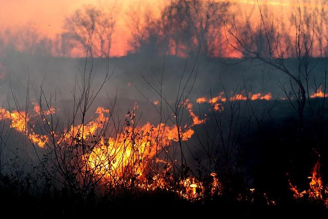 Preparedness Measures for Future natural Disasters in the Region