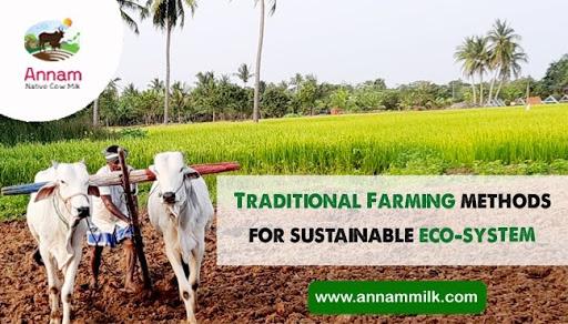 Revitalizing Traditional‍ Farming Practices for ‍Sustainable Food Systems