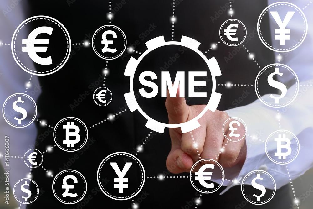 Enhancing Access to Finance for Small and Medium Enterprises