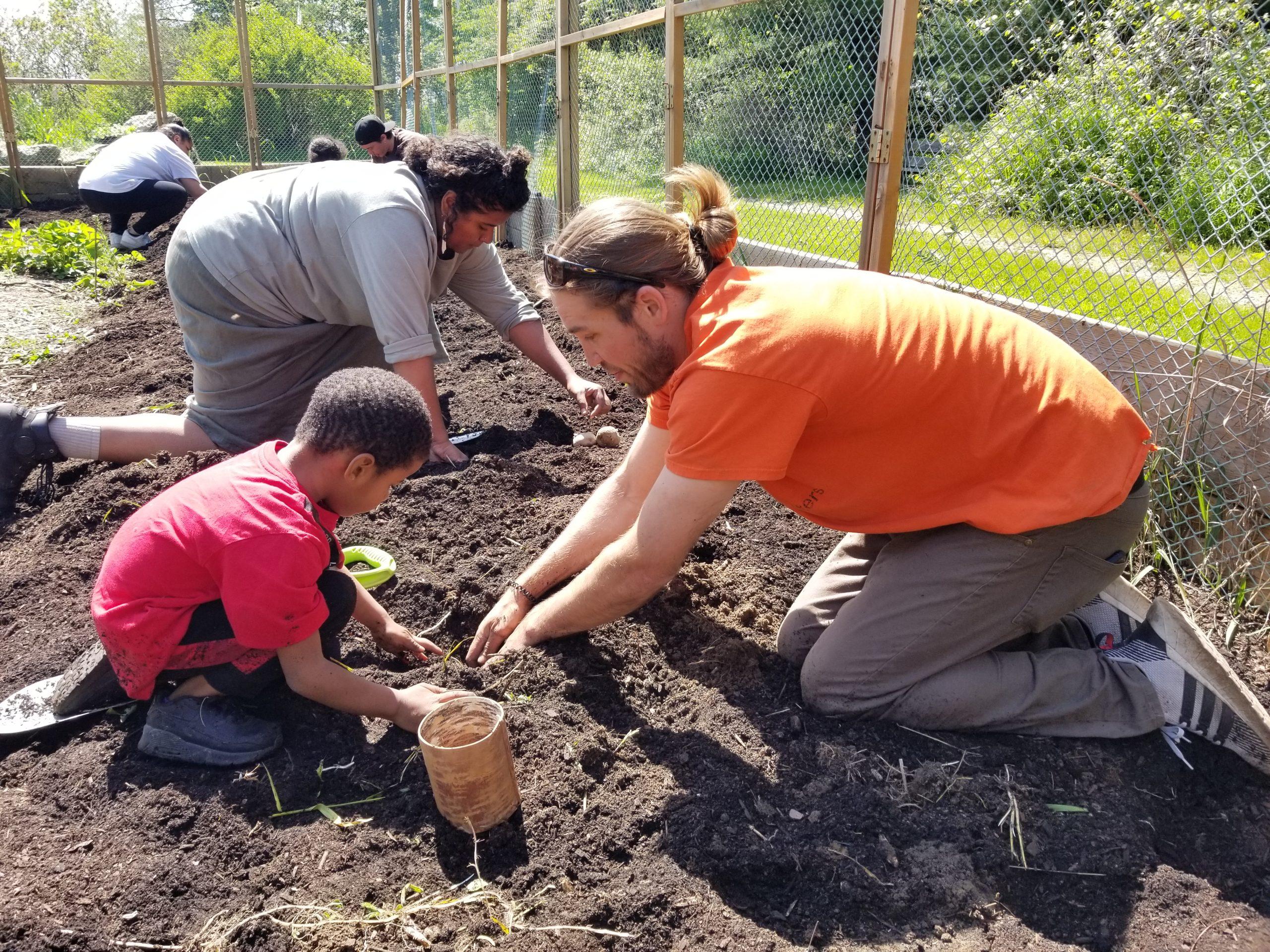 Policy⁢ Recommendations for Enhancing ​the Indigenous Food Movement