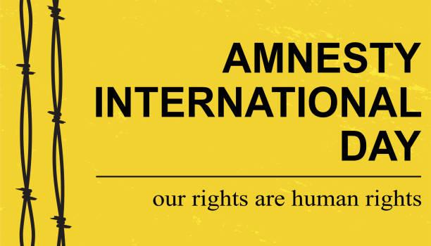 amnesty International's Recommendations for Upholding Human Rights Standards