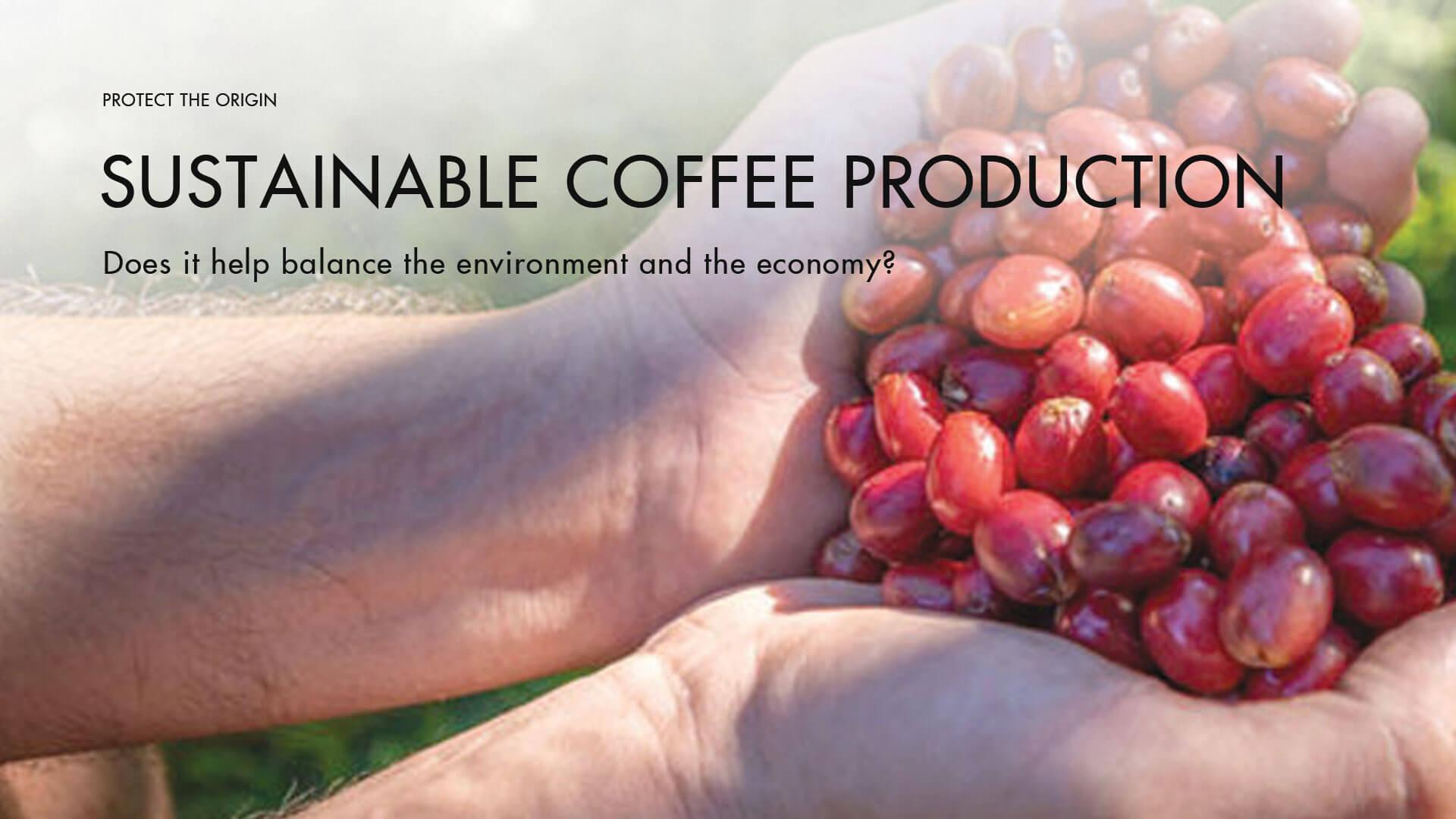 Investing in Sustainable Coffee Production Practices