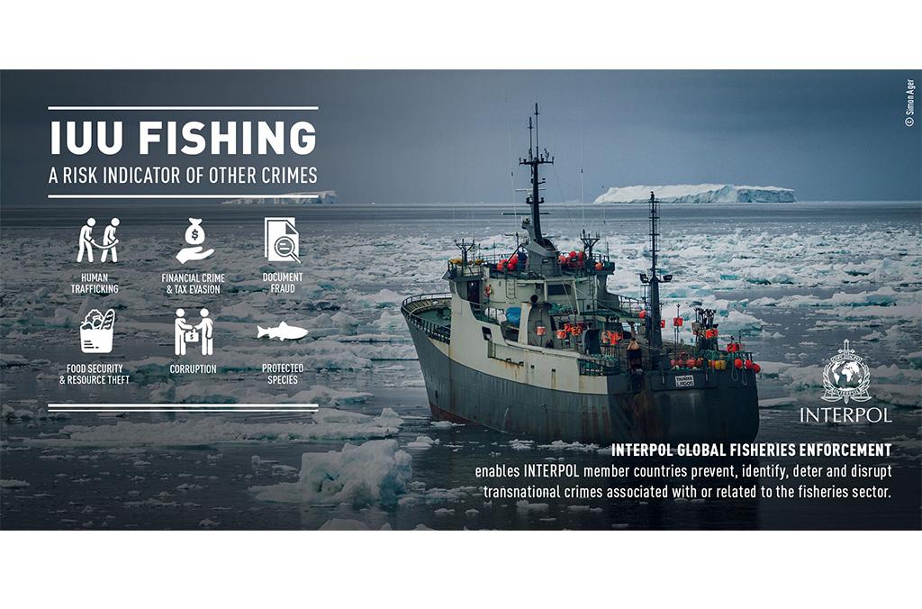 Strengthening Legal Frameworks and Collaborative Strategies Against IUU Fishing