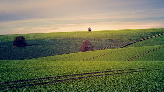 Economic Implications of Vast Agricultural Areas for Development