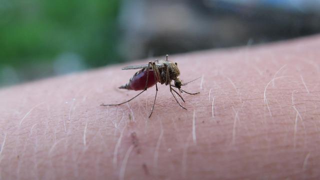 Addressing Logistical Challenges in Malaria ​Vaccination Distribution