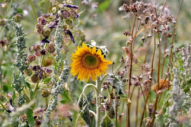 Recent Findings on Heat Waves and Global Warming