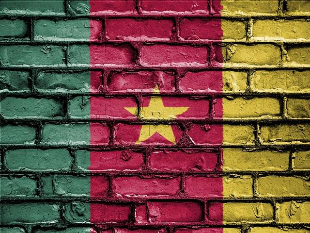 Human trafficking a rising problem in Cameroon, Catholic Church says – Crux Now