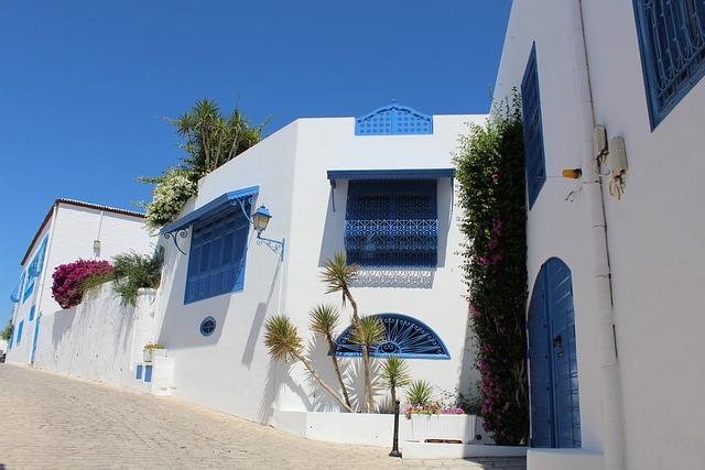 Tunisia’s Black community under the Jasmine revolution… and after – The Africa Report