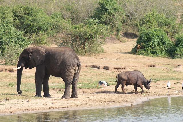 There’s So Much More to East Africa Than Its Wildlife — Like an Active Volcano and a Collapsed Caldera With a Pearly Blue Lake – Travel + Leisure
