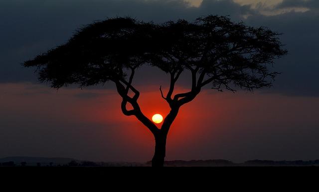 Kenya Drops Pre-Authorisation Requirements for Most African Visitors – African Travel and Tourism Association