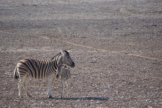 Tourism Doing Business Investing in Namibia – UNWTO