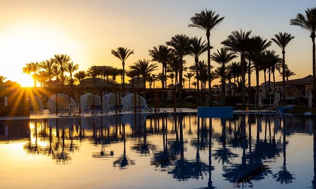 “I believe Egypt is the South Africa of the northern hemisphere” – FreshPlaza.com