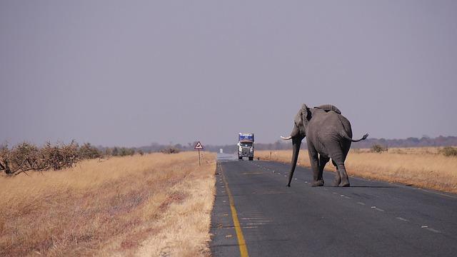 Botswana may fall short of 4.2% growth target, cenbank official says – Reuters