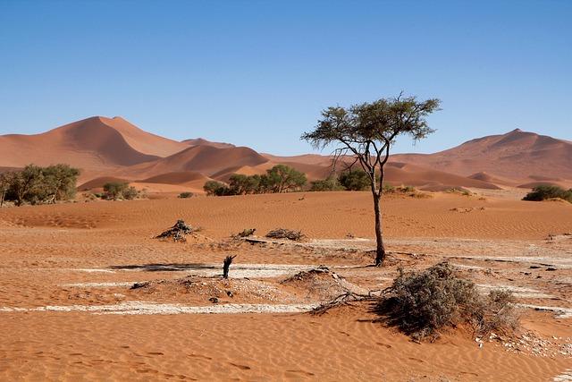 Namibia’s new president announces first Cabinet, appoints female vice president – Anadolu Agency | English