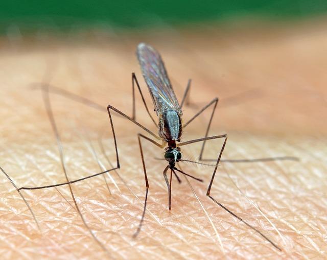 The geographical distribution of the malaria vector Anopheles arabiensis in Cabo Verde, 2016–2023 – Frontiers