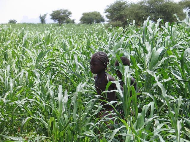 Mali Prioritizes Child Survival During Armed Conflict – Think Global Health