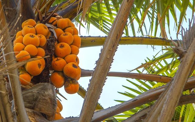 Nigeria Leads Crypto Space in Africa, Despite the Ban – Crypto Times