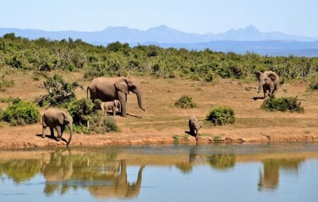 Letter to the Editor: South Africa ambassador’s expulsion deemed ‘childish’ – Arizona Daily Sun