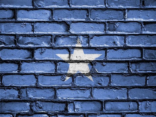 Somalia joins Afreximbank as it seeks to boost Intra-African trade and economic growth – African Export-Import Bank