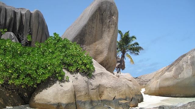 Seychelles is looking to increase its cultural exchange with Russia – Business Insider Africa