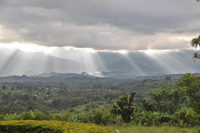 Democratic Republic of the Congo – Belgian Paternalism, Decolonization, Politics – Britannica