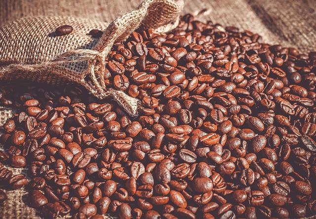 Shs179b boost to private coffee factory sparks public outcry – Monitor